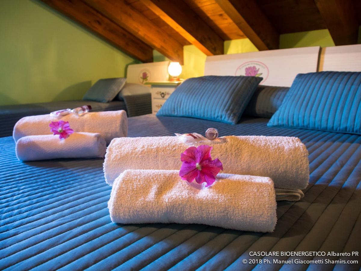 Il Casolare Bioenergetico Bed & Breakfast Albareto  Exterior photo