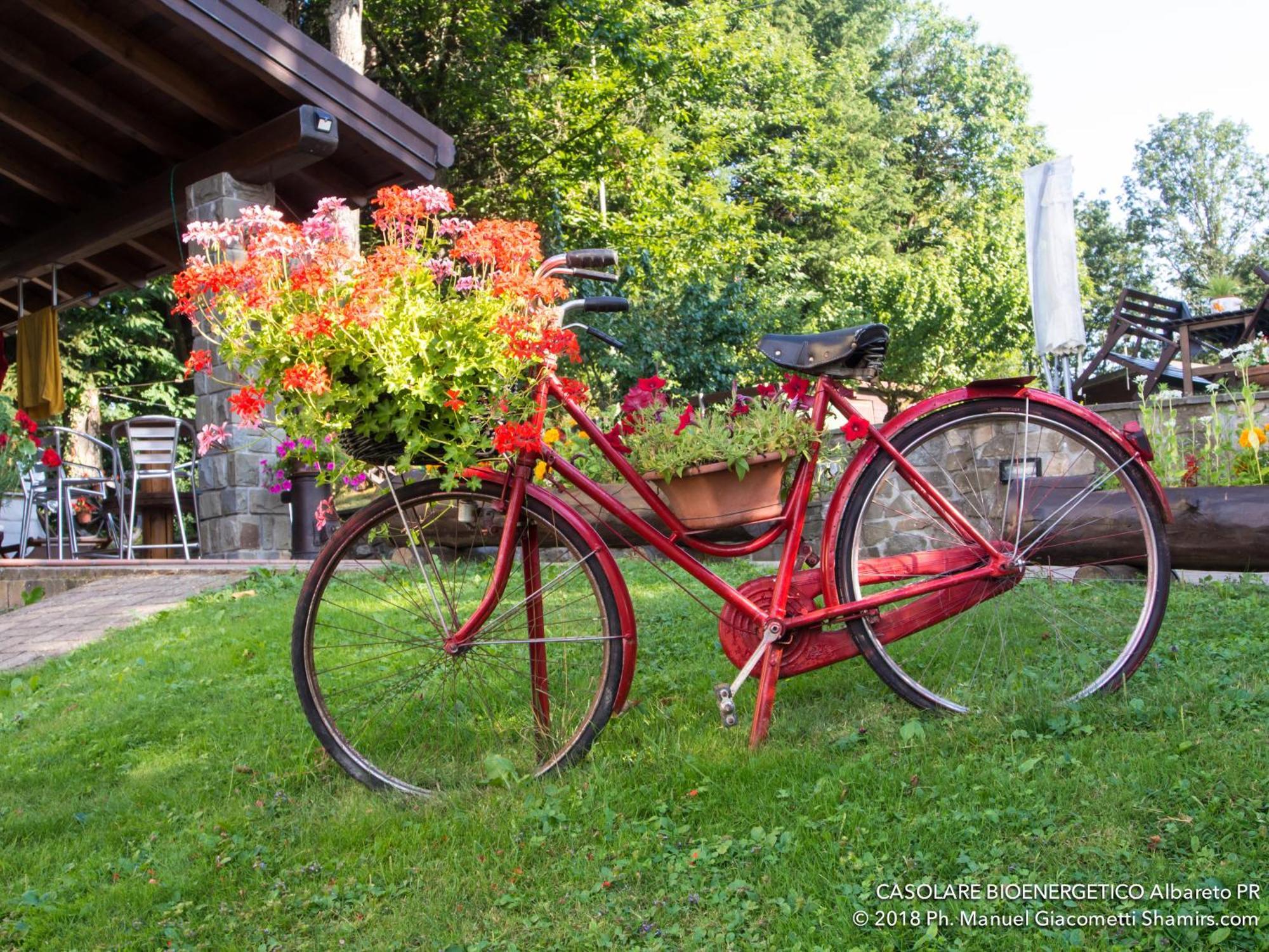Il Casolare Bioenergetico Bed & Breakfast Albareto  Exterior photo